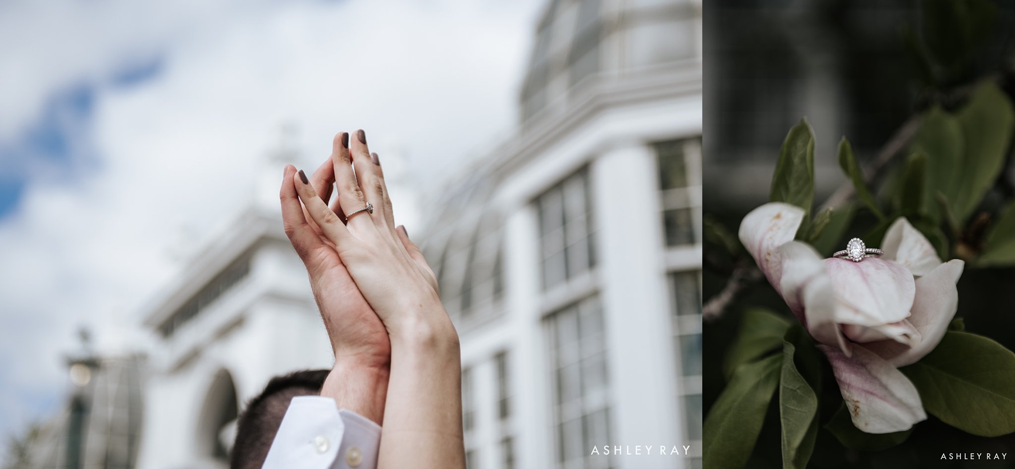 Franklin Park Conservatory in columbus ohio, dog couple, Indoor engagement session, ohio wedding photographer